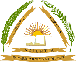 Universidad Nacional del Este